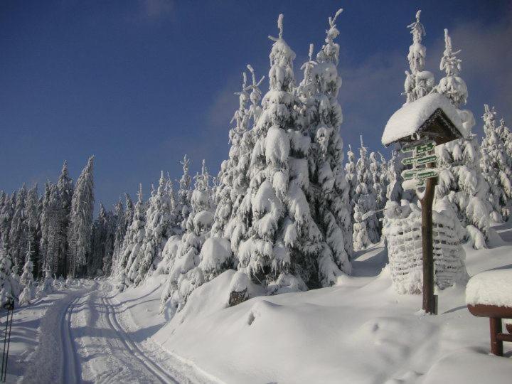 Villa Silva - Oberhof ภายนอก รูปภาพ
